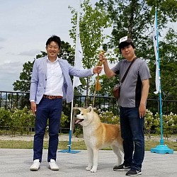 総覧会では山田拓郎犬山市長が秋田犬のハンドラーをされました。