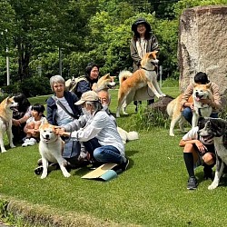 秋田犬保存会