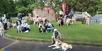 秋田犬保存会