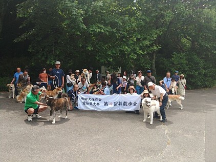秋田犬